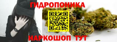 spice Будённовск