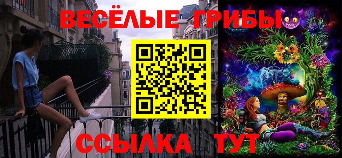 Галлюциногенные грибы Psilocybe Моршанск